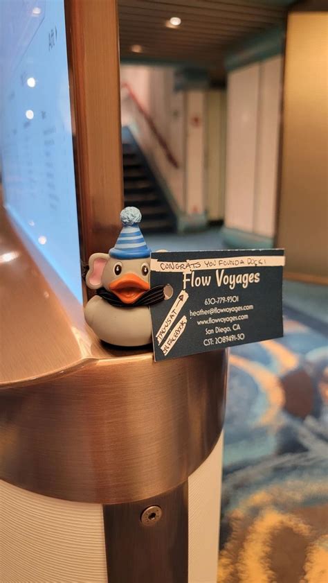 Why Are People Hiding Ducks On Cruise Ships And How You Can Join In The Fun