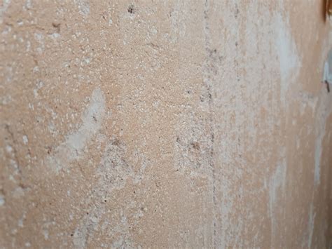 In Which Painting Technique Is Paint Applied To Damp Lime Plaster? – ArtLovers.me