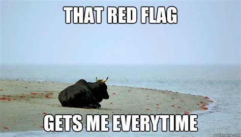 That red flag gets me everytime - Misunderstood Bull - quickmeme