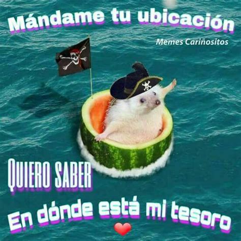 Cute Love Memes, Funny Love, Romantic Memes, Memes Lindos, Tumblr Love, Spanish Memes, Love ...
