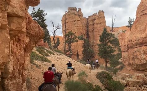 These Horseback Riding Tours Are Too Beautiful Too Miss! – Do You Know Travel