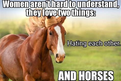 Horse girls 😏 : r/memes