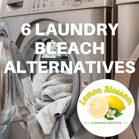 6 Laundry Bleach Alternatives Did you know that adding bleach to your laundry at the wrong time ...