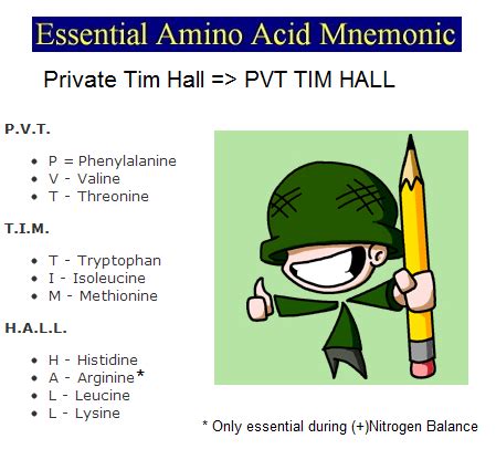 My Notes for USMLE — AMINO ACIDS MNEMONIC: The most stupid way to...