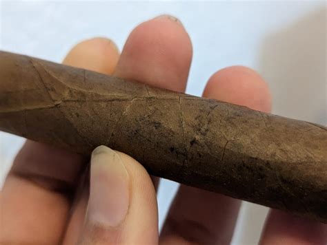 How Do You Know When a Cigar Is Ready to Smoke? | Teach Me Cigars