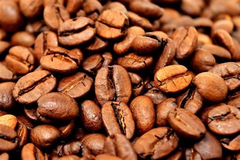 EU and UNCTAD seek more coffee aroma from Angola - FurtherAfrica
