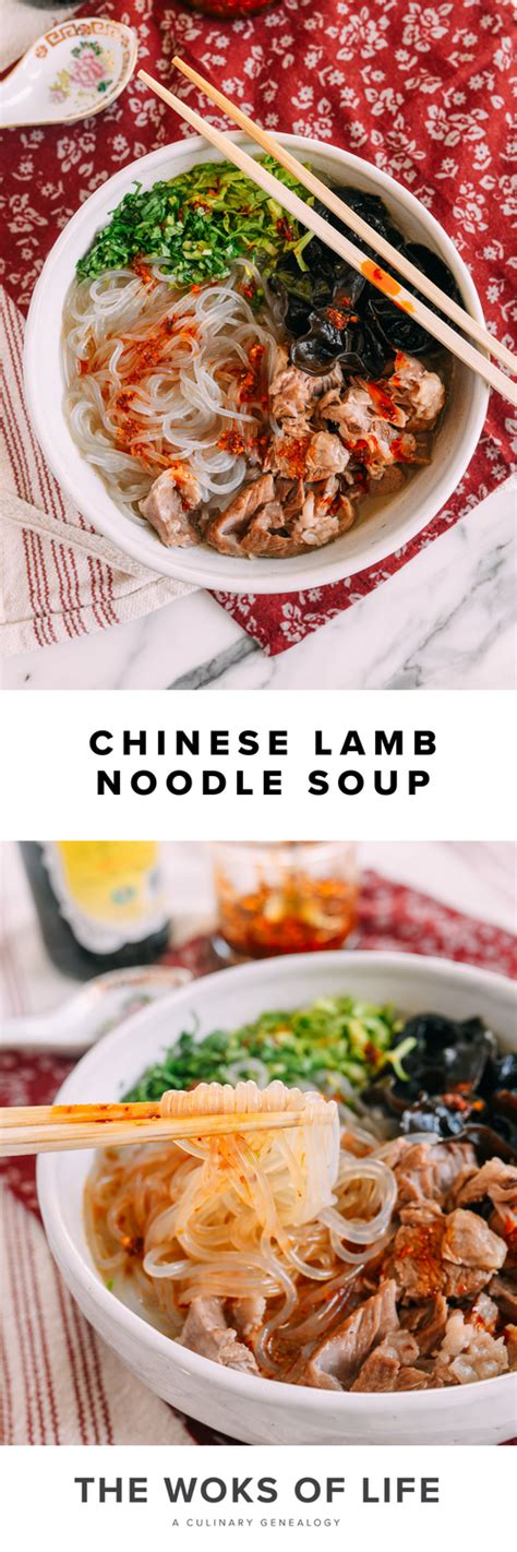 Chinese Lamb Noodle Soup | Recipe | Dinner recipies, Easy asian recipes, Asian cooking