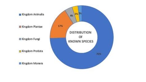 Kingdom Plantae Examples, Classification and Characteristics » Selftution