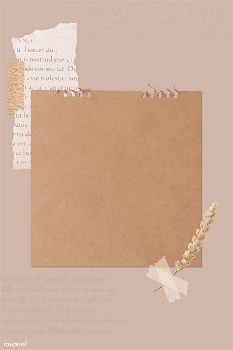 Ripped newspaper and flower stem on old brown paper banner vector | premium image by rawpixel ...