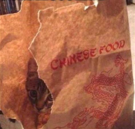 Chinese food Blank Template - Imgflip