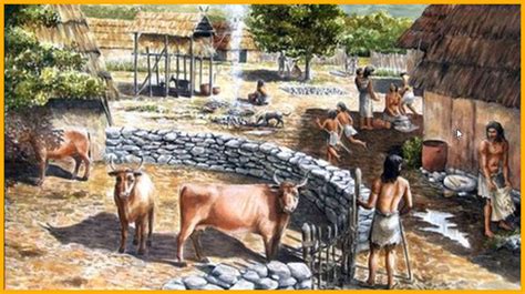 LIVESTOCK OF THE EARLY EUROPEAN FARMERS