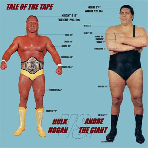 Tale of the tape: Hulk Hogan vs Andre the Giant | Andre the giant, Wwf superstars, Wrestling posters