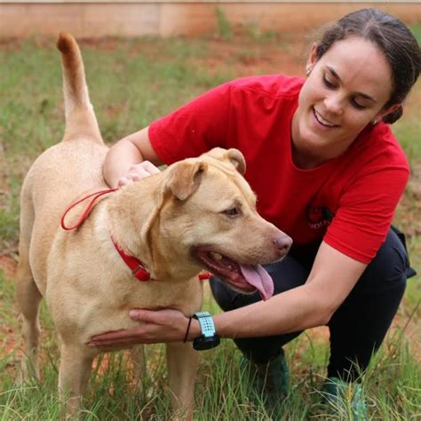 Our FHS volunteers work so hard to keep our animals exercised and in ...