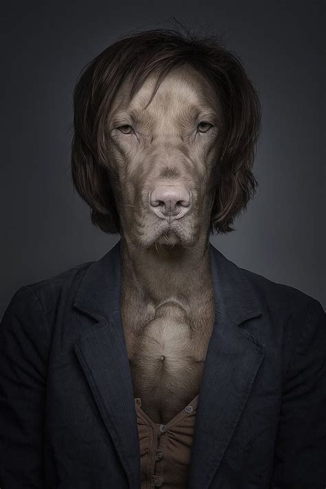 Underdogs | Dog portraits, Photo manipulation, Dogs