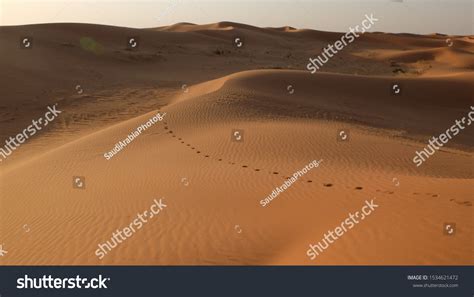 Footsteps Nafud Desert Close Hail Saudi Stock Photo 1534621472 | Shutterstock