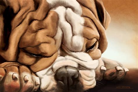 Sleeping English bulldog print on canvas | Etsy