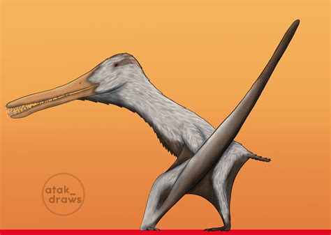 How accurate is this Cearadactylus? This is my first time drawing a pterosaur in this way and my ...