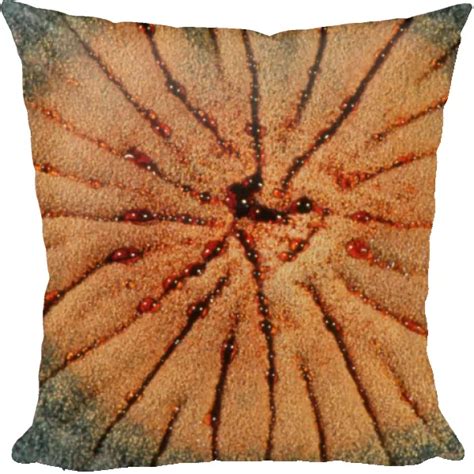 Pillow of Culture of Aspergillus nidulans fungus