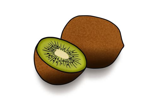 How to Draw a Kiwi Fruit | Design School