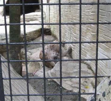 Avilon Zoo Entrance Fee, Website, Videos
