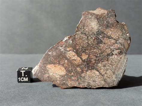 Meteorites For Sale - NWA 12415 HED Achondrite Eucrite Meteorite End ...