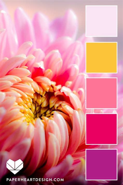 Bright Yellow + Pinks Floral Color Palette | Color palette pink, Color palette design, Color palette