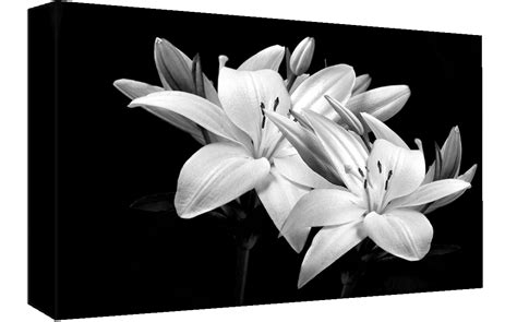Black & White Lilies Cotton Canvas Wall Art Picture Print - A1, A2 +sizes | eBay