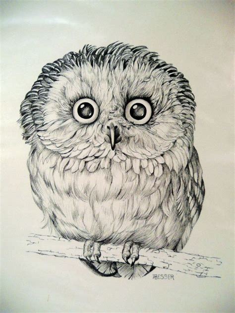 Pin by chufella on Inspiration | Owl art print, Owls drawing, Bird art