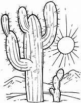Cactus Coloring Pages  100 To Print For Free sketch template