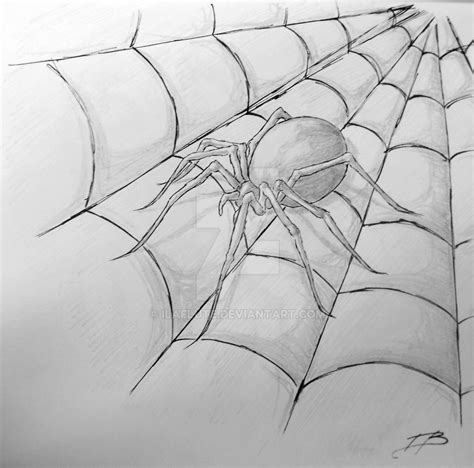 Spider tattoo drawing by IlaFlute on DeviantArt