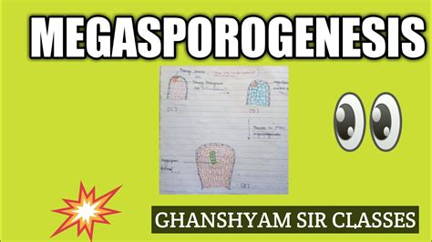 #Megasporogenesis/megasporogenesis notes/megasporogenesis in hindi ...