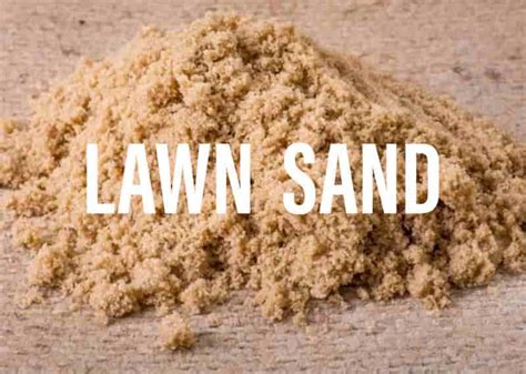 Lawn Sand: All You Need to Know - Gardening Brain