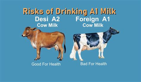 Risks of Drinking A1 Milk – A2 Milk in Pune | A2 Milk Price in Pune | A2 Milk Near You | A2 Milk ...