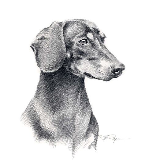 Pin by Dog Portraits on Dachshunds | Dog print art, Dog art, Dachshund dog