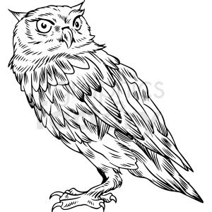 black and white owl vector illustration clipart. #412593 | Graphics Factory