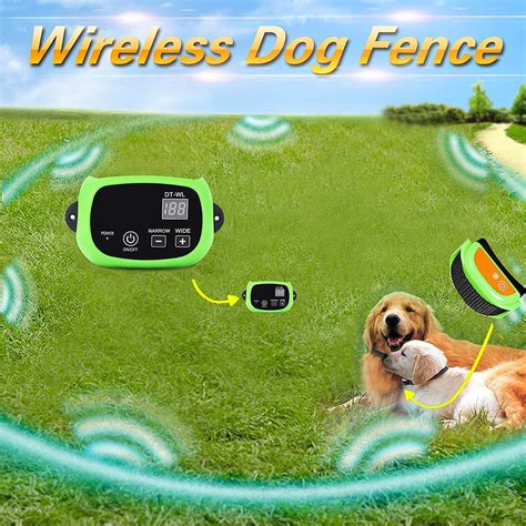 How To Choose The Perfect Wireless Dog Fence | My Decorative