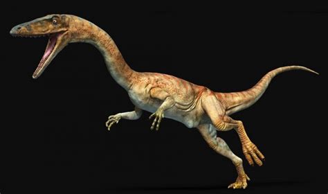 Coelophysis Facts, Habitat, Diet, Fossils, Pictures