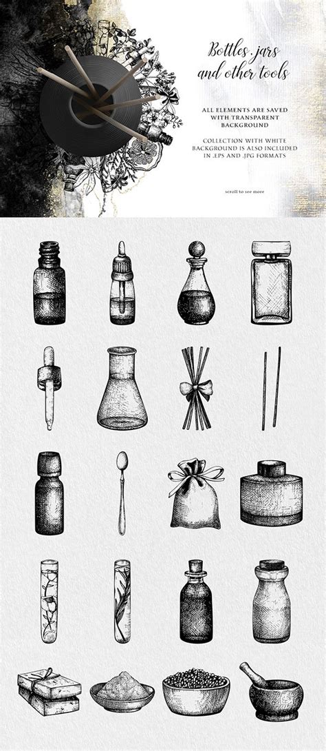 Perfumery Ingredients Bundle | Perfumery, Hand sketch, Cosmetics ...
