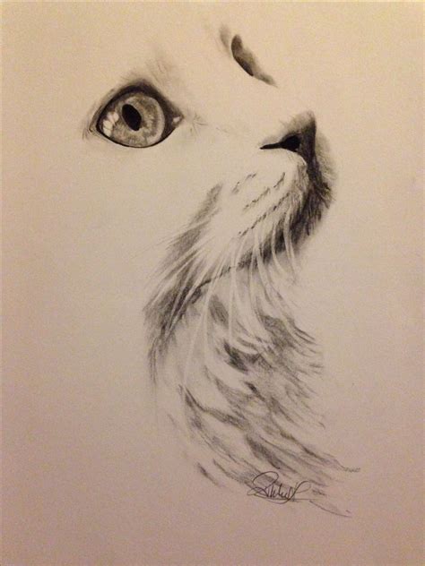 Pin on Colouring | Cat art, Charcoal art, Sketches