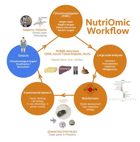 Team Workflow - Nutriomics