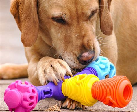 Diy Dog Toys For Boredom : 15 Top Boredom Busters For Your Dog ...