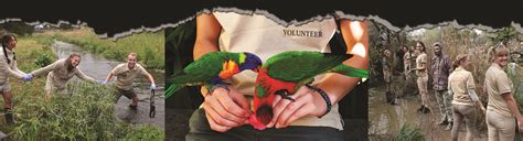 Volunteer Program - Wild Animal Volunteers