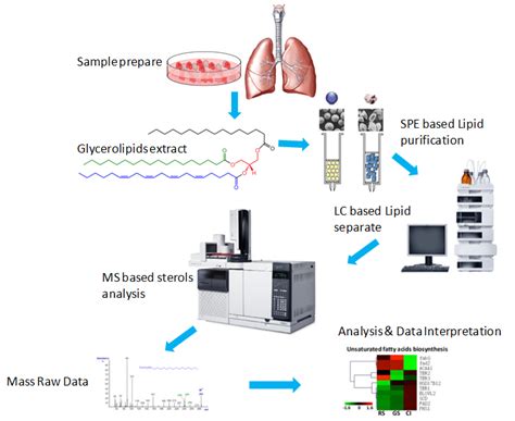 Glycerolipids Analysis Service - Creative Proteomics