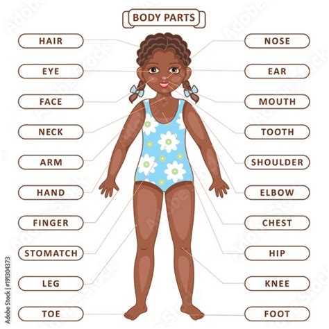 Vector flat african black girl body part vocabulary. Children education, english learning ...