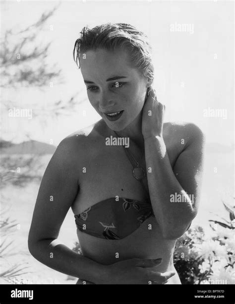 SYLVIA SYMS ACTRESS (1959 Stock Photo, Royalty Free Image: 31277889 - Alamy