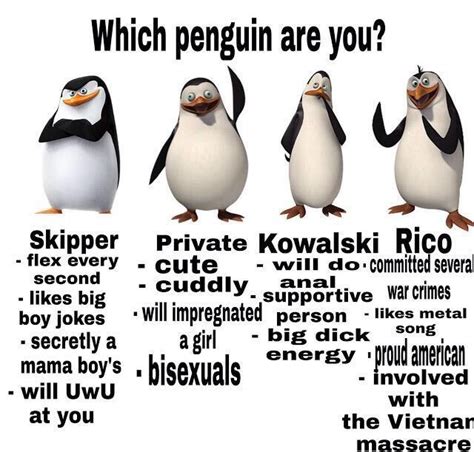 Penguins Of Madagascar Meme