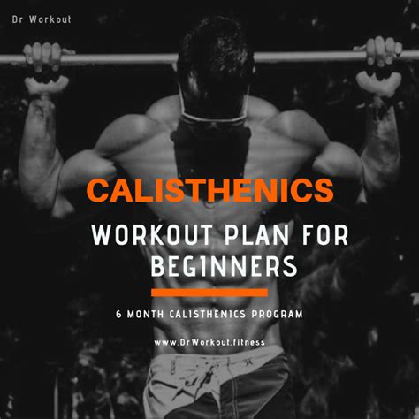 Calisthenics Workout Plan for Beginners - 6 Month Program (with PDF) | Dr Workout