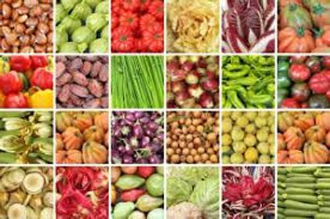 Agricultural products with distinctive identity - Jammu Kashmir Latest News | Tourism | Breaking ...