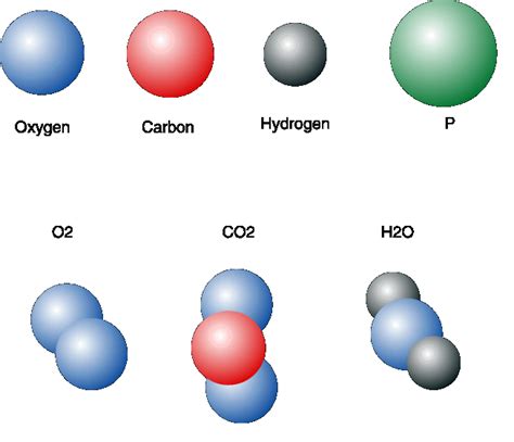 Diagram of a few common molecules.