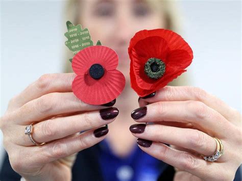 Box of poppies from early appeal discovered days before Armistice | Shropshire Star